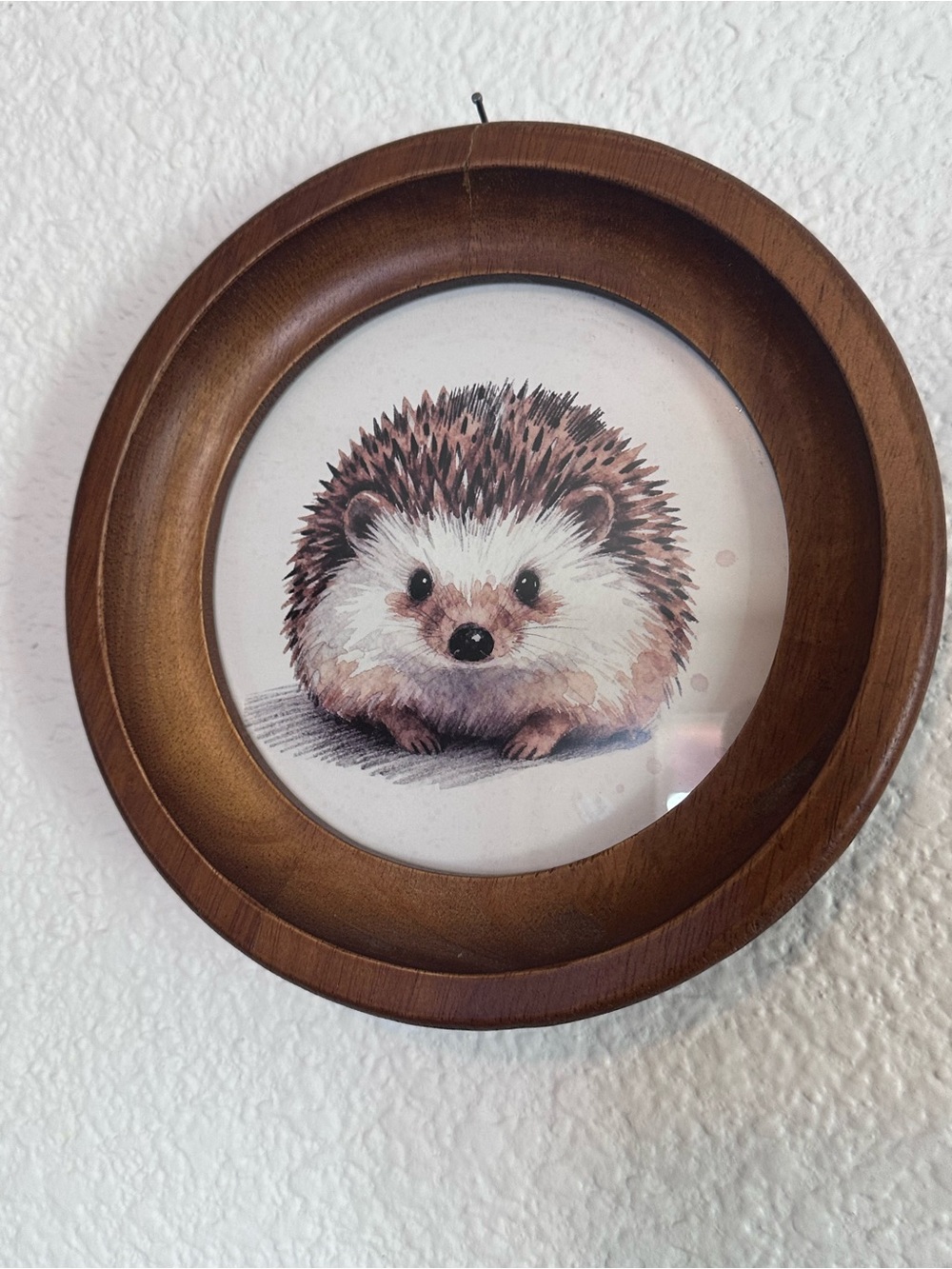 Round Hedgehog Wall Art with Brown Frame